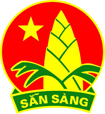 Điều lệ Đội Thiếu niên Tiền phong Hồ Chí Minh