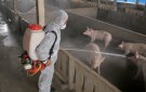 Hướng dẫn thực hiện an toàn sinh học trong trang trại chăn nuôi heo – Giải pháp ngăn ngừa dịch bệnh nguy hiểm từ xa